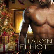 Review: Holiday Sparks by Taryn Elliott
