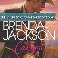 REVIEW: Canyon by Brenda Jackson