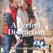 REVIEW: A Perfect Distraction by Anna Sugden