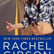 REVIEW: Run to You by Rachel Gibson