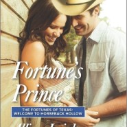 REVIEW: Fortune’s Prince by Allison Leigh