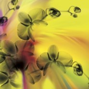 REVIEW: Giving In by Maya Banks