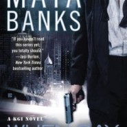 REVIEW: When Day Breaks by Maya Banks