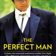 REVIEW: The Perfect Man by Vicki Lewis Thompson