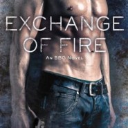 REVIEW: Exchange of Fire by P.A. DePaul