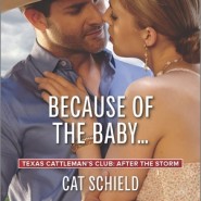 REVIEW: Because of the Baby… by Cat Schield