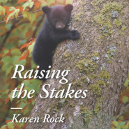 REVIEW: Raising the Stakes by Karen Rock