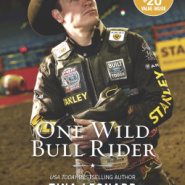 REVIEW: One Wild Bull Rider by Tina Leonard