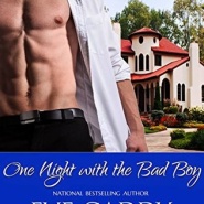 REVIEW: One Night with the Bad Boy  by Eve Gaddy