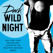 REVIEW: Dark Wild Night by Christina Lauren