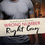 REVIEW: Wrong Number, Right Guy by Elle Casey