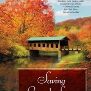 REVIEW: Saving Laurel Springs by Lin Stepp