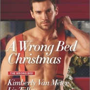 REVIEW: A Wrong Bed Christmas by Kimberly Van Meter and Liz Talley