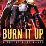 REVIEW: Burn It Up by Cara McKenna