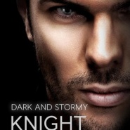 REVIEW: Dark and Stormy Knight by Nina Mason