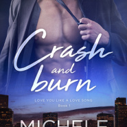REVIEW: Crash and Burn by Michele Callahan