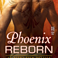 REVIEW: Phoenix Reborn by JD Tyler