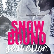 Spotlight & Giveaway: Snowbound Seduction by Melissa Schroeder