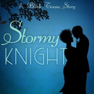 REVIEW: Stormy Knight by J.D. Mason