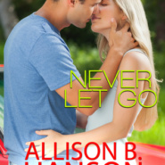 REVIEW: Never Let Go by Allison B. Hanson