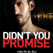 REVIEW: Didn’t You Promise? by Amber A. Bardan