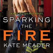REVIEW: Sparking the Fire by Kate Meader
