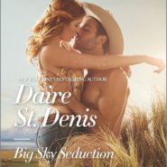 REVIEW: Big Sky Seduction by Daire St Denis
