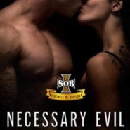 REVIEW: Necessary Evil by Jamie K Schmidt