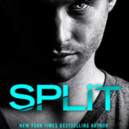 REVIEW: Split by J.B. Salsbury