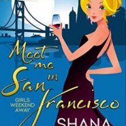 REVIEW: Meet Me In San Francisco by Shana Gray