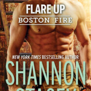 REVIEW: Flare Up by Shannon Stacey