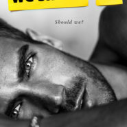 Spotlight & Giveaway: We Shouldn’t by Vi Keeland