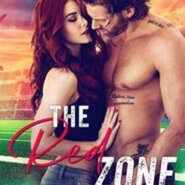 Spotlight & Giveaway: The Red Zone by Amie Knight