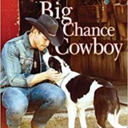 Spotlight & Giveaway: Big Chance Cowboy by Teri Anne Stanley