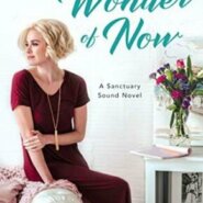 Spotlight & Giveaway: The Wonder of Now by Jamie Beck