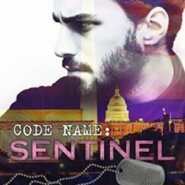 Spotlight & Giveaway: Code Name: Sentinel by Sawyer Bennett