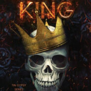 REVIEW: Gypsy King by Devney Perry