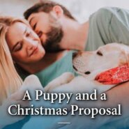 REVIEW: A Puppy and a Christmas Proposal by Louisa George