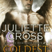 Spotlight & Giveaway: Coldest Fire by Juliette Cross