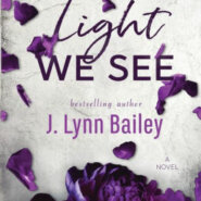 Spotlight & Giveaway: The Light We See by J. Lynn Bailey