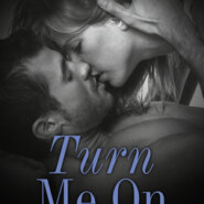 REVIEW: Turn Me On by Dylan Rose