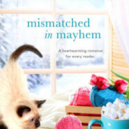 Spotlight & Giveaway: Mismatched in Mayhem by L.E. Rico