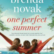 REVIEW: One Perfect Summer by Brenda Novak