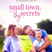 Spotlight & Giveaway: Small Town, Big Secrets by Elsie Davis