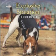 REVIEW: Explosive Situation by Terri Reed