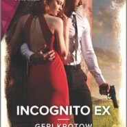 Spotlight & Giveaway: Incognito Ex by Geri Krotow