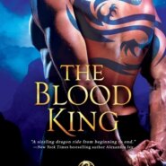 REVIEW: The Blood King by Abigail Owen