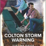REVIEW: Colton Storm Warningby Justine Davis