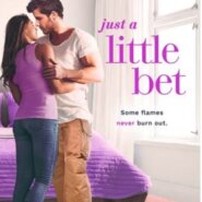 REVIEW: Just a Little Bet by Tawna Fenske