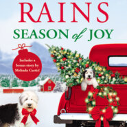 REVIEW: Season of Joy by Annie Rains